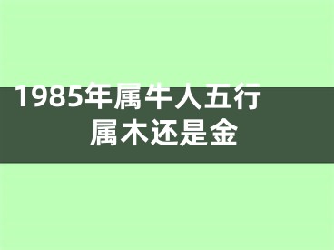 1985年属牛人五行属木还是金