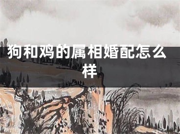 狗和鸡的属相婚配怎么样