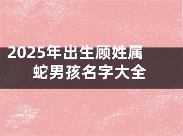 2025年出生顾姓属蛇男孩名字大全