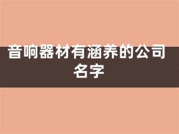 音响器材有涵养的公司名字