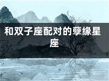 和双子座配对的孽缘星座