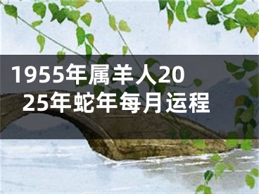 1955年属羊人2025年蛇年每月运程