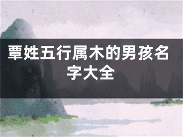 覃姓五行属木的男孩名字大全