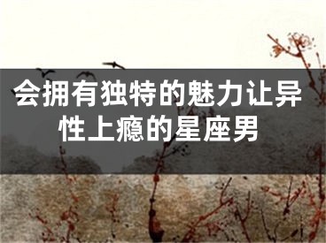 会拥有独特的魅力让异性上瘾的星座男
