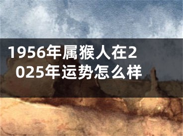 1956年属猴人在2025年运势怎么样