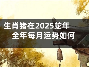 生肖猪在2025蛇年全年每月运势如何