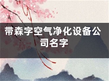 带森字空气净化设备公司名字