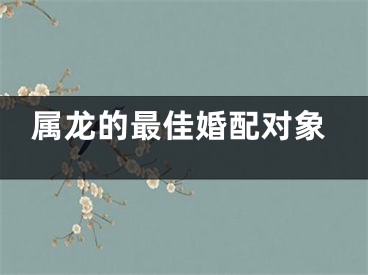 属龙的最佳婚配对象