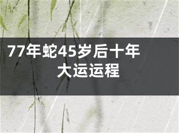 77年蛇45岁后十年大运运程