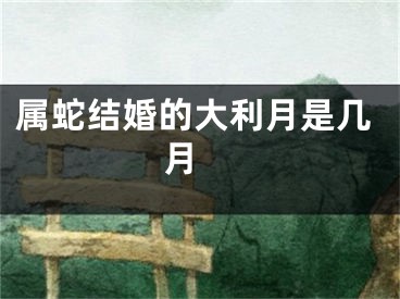 属蛇结婚的大利月是几月 
