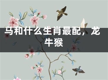 马和什么生肖最配，龙牛猴