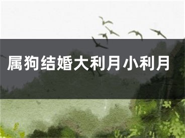 属狗结婚大利月小利月