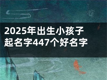 2025年出生小孩子起名字447个好名字