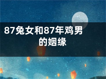 87兔女和87年鸡男的姻缘