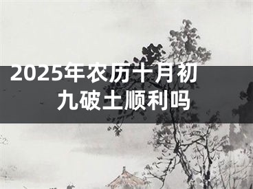 2025年农历十月初九破土顺利吗