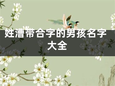 姓漕带合字的男孩名字大全