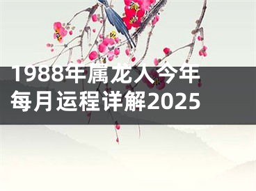 1988年属龙人今年每月运程详解2025