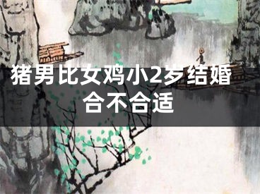 猪男比女鸡小2岁结婚合不合适