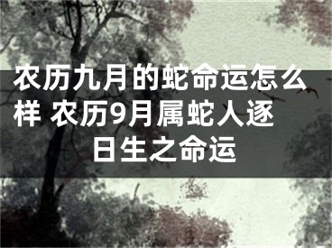 农历九月的蛇命运怎么样 农历9月属蛇人逐日生之命运