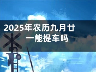 2025年农历九月廿一能提车吗