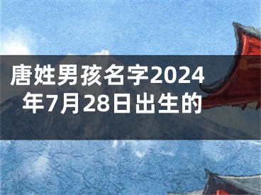 唐姓男孩名字2024年7月28日出生的