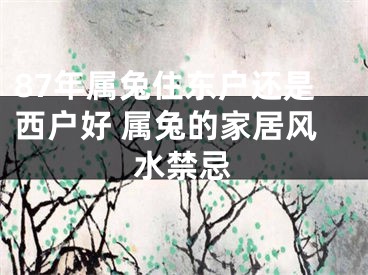 87年属兔住东户还是西户好 属兔的家居风水禁忌