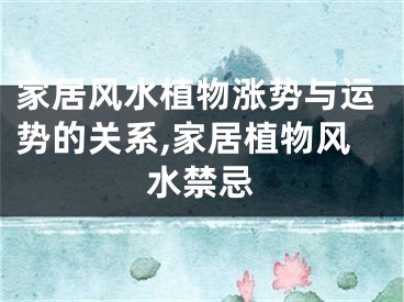 家居风水植物涨势与运势的关系,家居植物风水禁忌