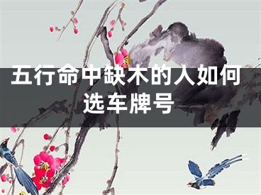 五行命中缺木的人如何选车牌号