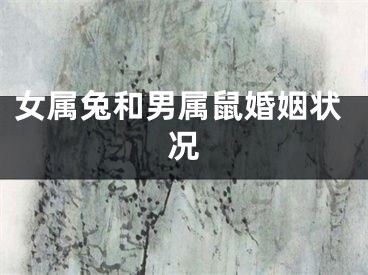 女属兔和男属鼠婚姻状况