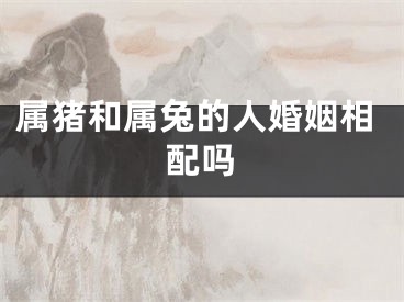 属猪和属兔的人婚姻相配吗