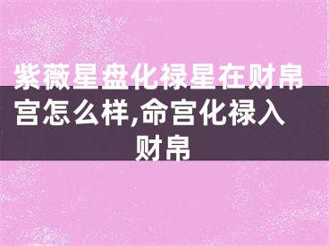 紫薇星盘化禄星在财帛宫怎么样,命宫化禄入财帛