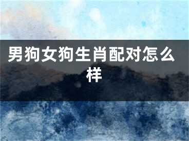 男狗女狗生肖配对怎么样