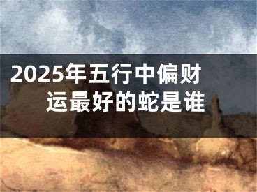 2025年五行中偏财运最好的蛇是谁