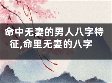 命中无妻的男人八字特征,命里无妻的八字