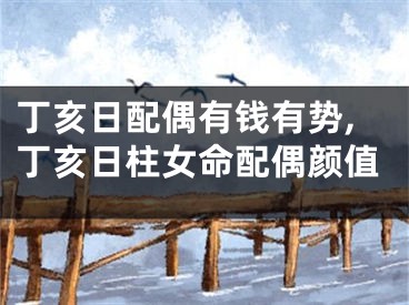 丁亥日配偶有钱有势,丁亥日柱女命配偶颜值