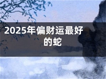 2025年偏财运最好的蛇