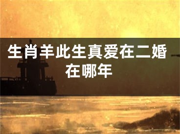 生肖羊此生真爱在二婚在哪年