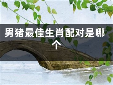 男猪最佳生肖配对是哪个