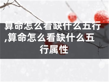 算命怎么看缺什么五行,算命怎么看缺什么五行属性