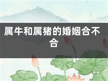 属牛和属猪的婚姻合不合