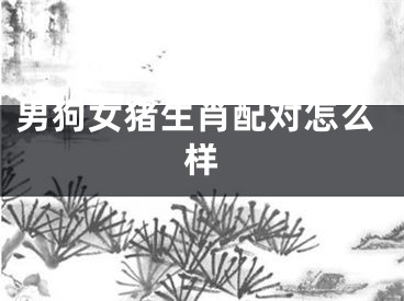 男狗女猪生肖配对怎么样