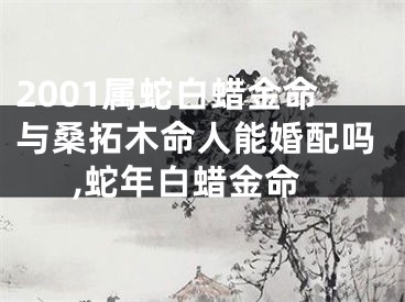 2001属蛇白蜡金命与桑拓木命人能婚配吗,蛇年白蜡金命