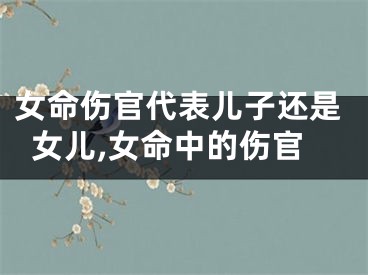 女命伤官代表儿子还是女儿,女命中的伤官
