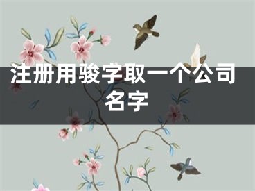 注册用骏字取一个公司名字