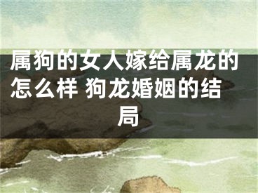 属狗的女人嫁给属龙的怎么样 狗龙婚姻的结局