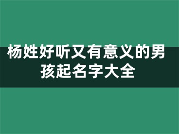 杨姓好听又有意义的男孩起名字大全