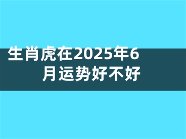 生肖虎在2025年6月运势好不好