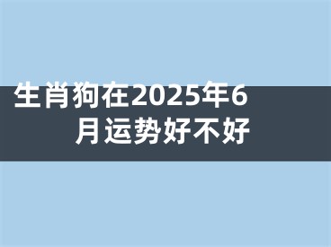 生肖狗在2025年6月运势好不好
