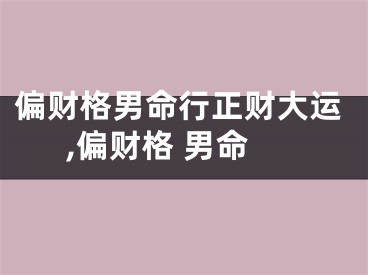 偏财格男命行正财大运,偏财格 男命