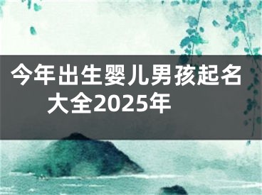 今年出生婴儿男孩起名大全2025年